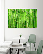 Zelený obraz Bambus zs1162
